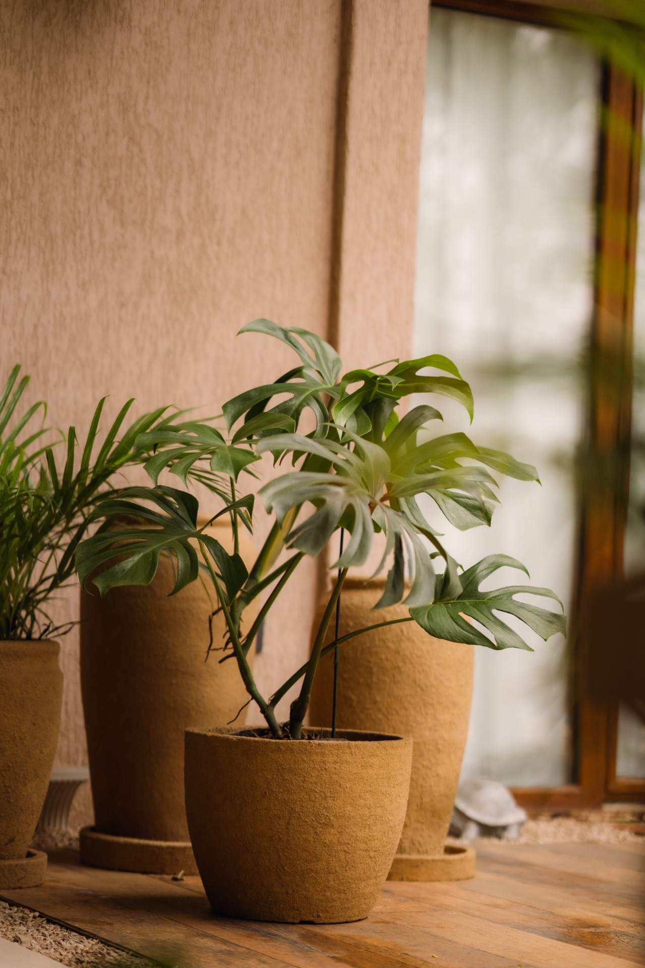 Espacios habitados por Bloomiér 5