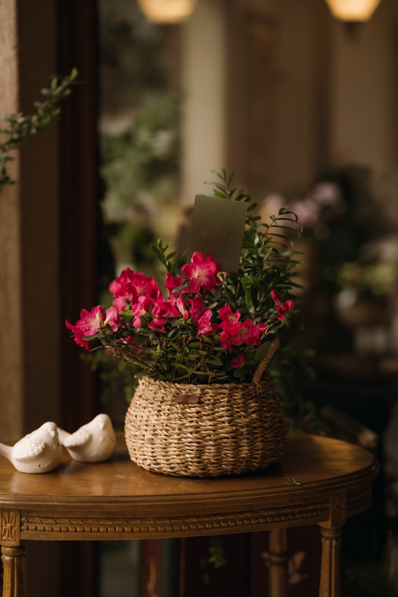 Espacios habitados por Bloomiér 10