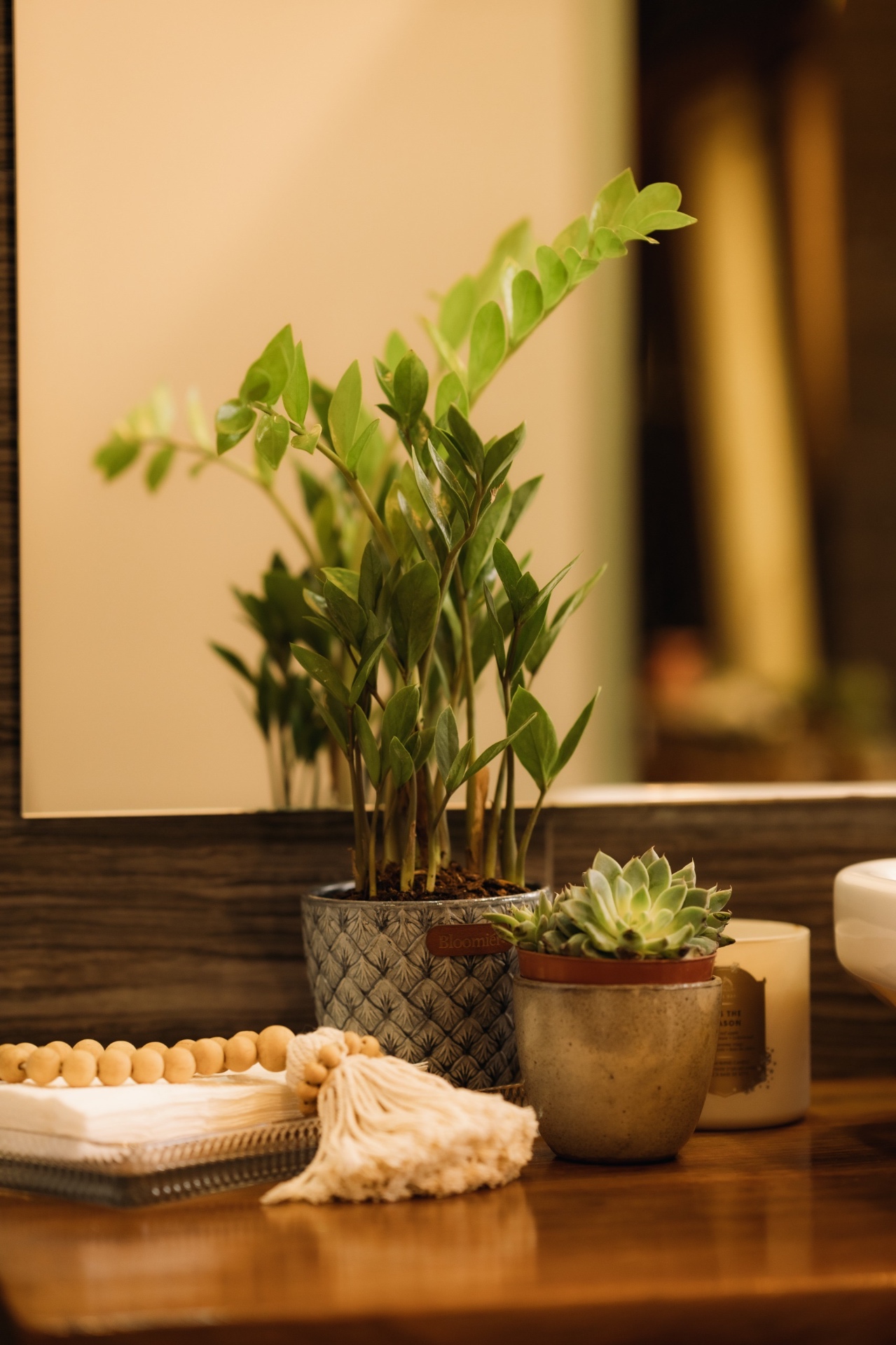 Espacios habitados por Bloomiér 3