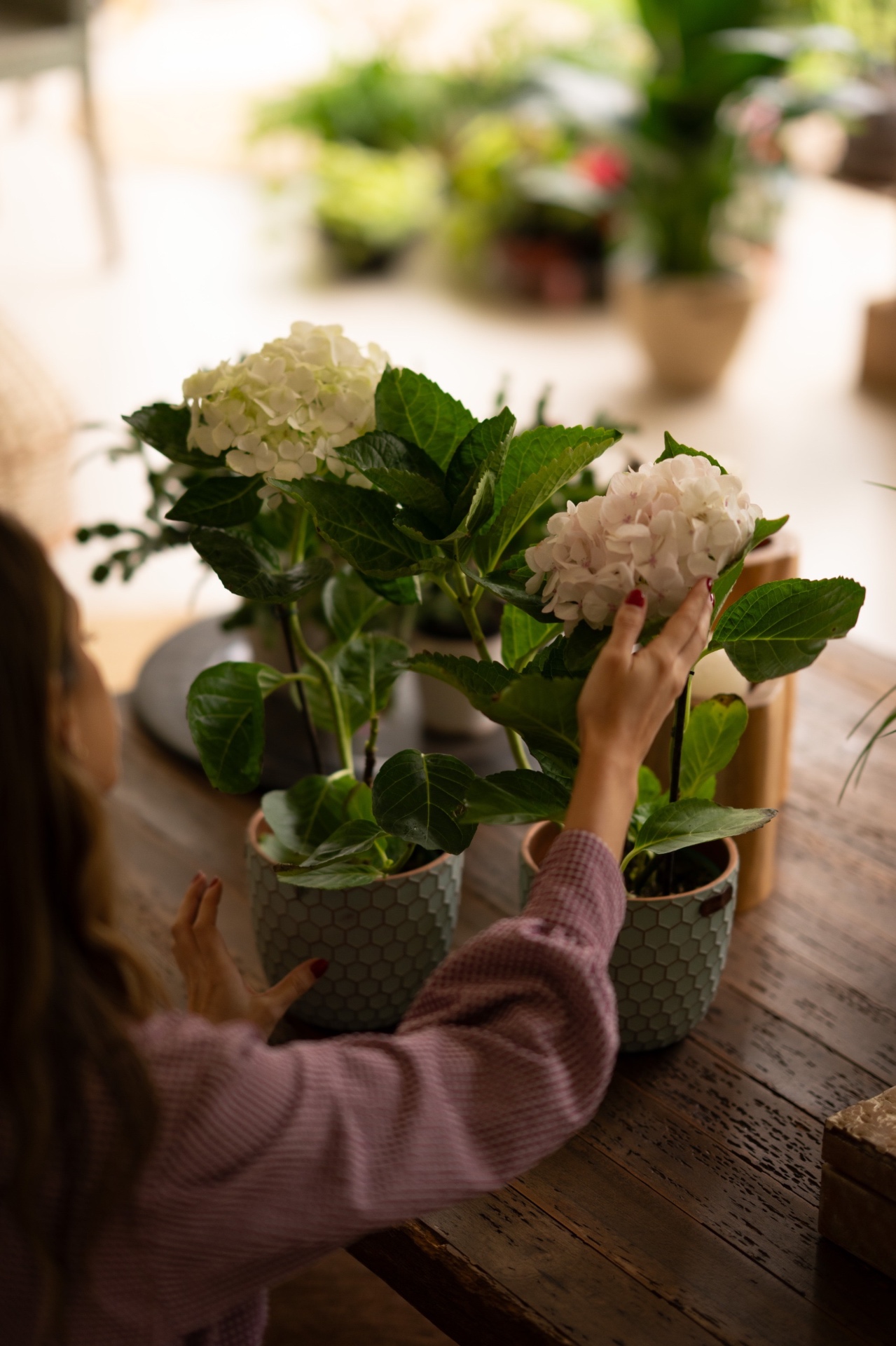Bloomiér Gift