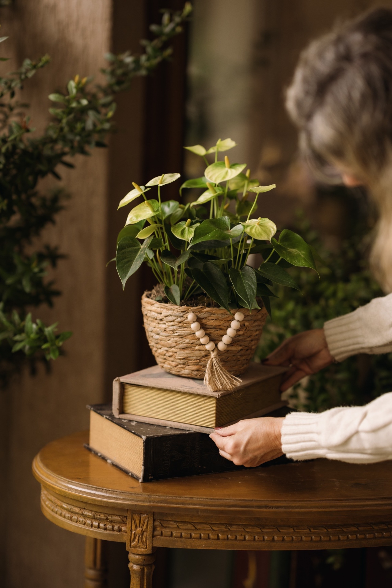 Espacios habitados por Bloomiér 7