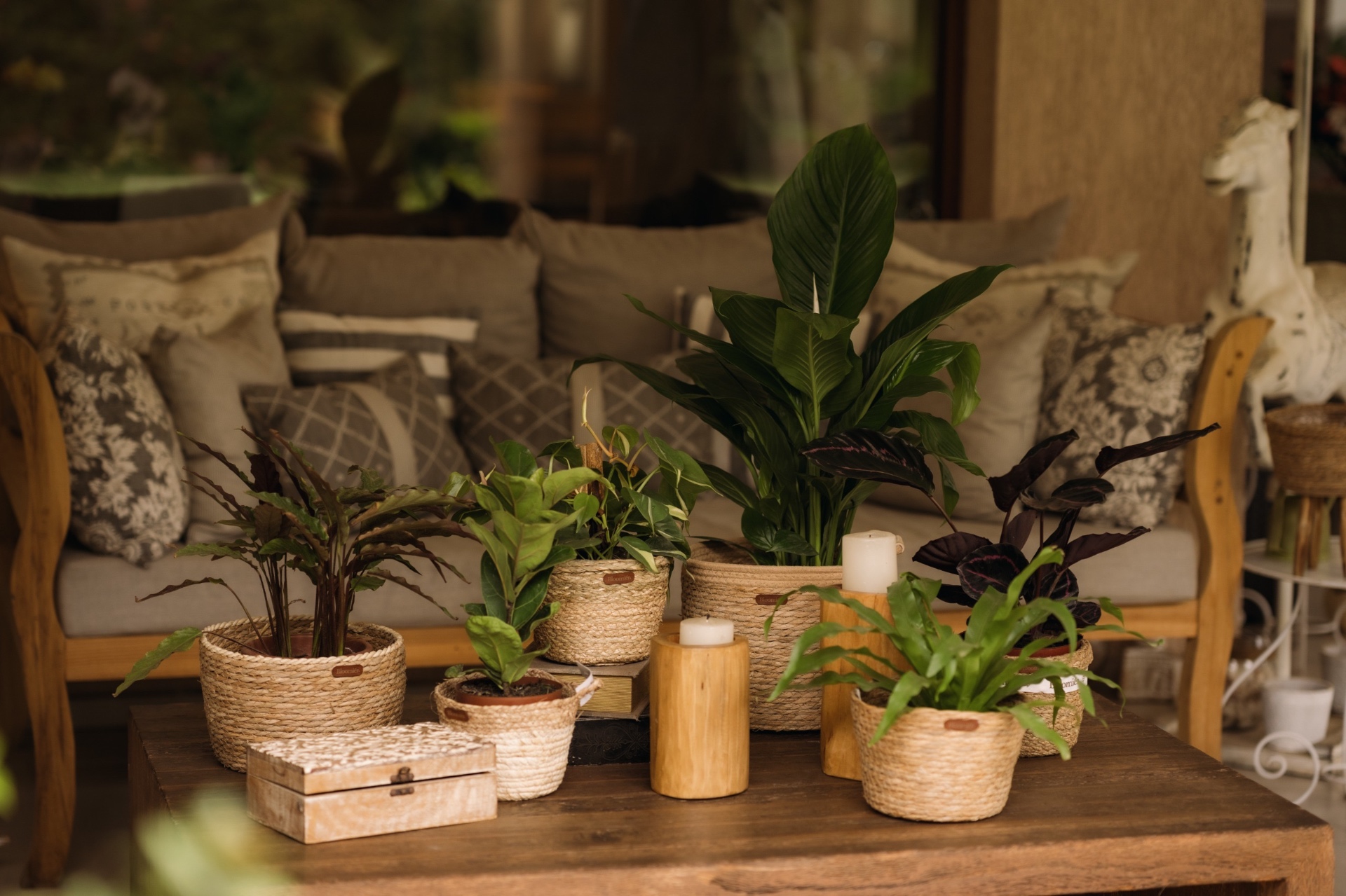 Espacios habitados por Bloomiér 4